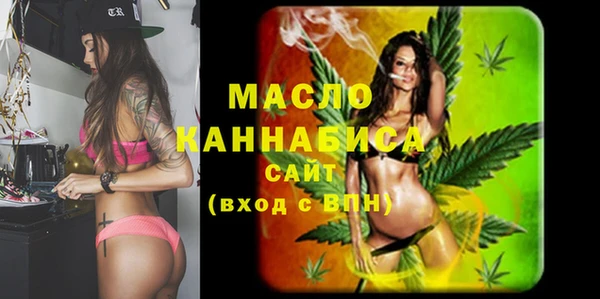 молекула духа Саяногорск